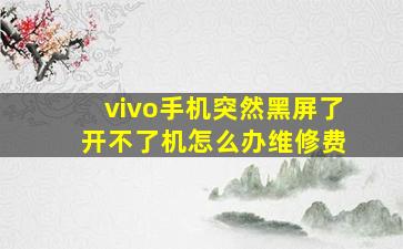 vivo手机突然黑屏了 开不了机怎么办维修费